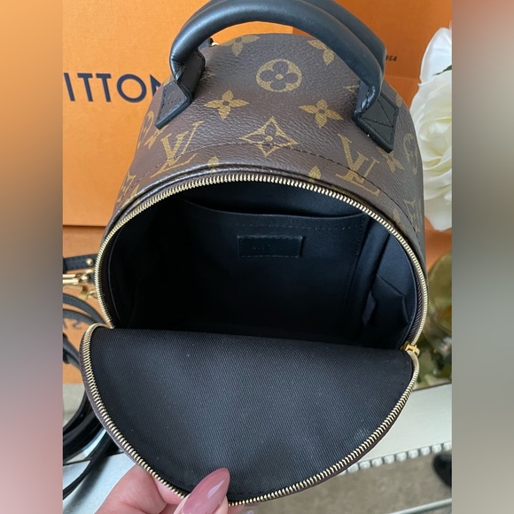 Louis Vuitton Palm Springs Mini - Picture 6 of 16